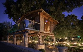 Stolidi Mou Treehouse