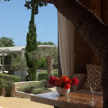 Stolidi Mou Treehouse Villa Atsipopoulo Exterior photo